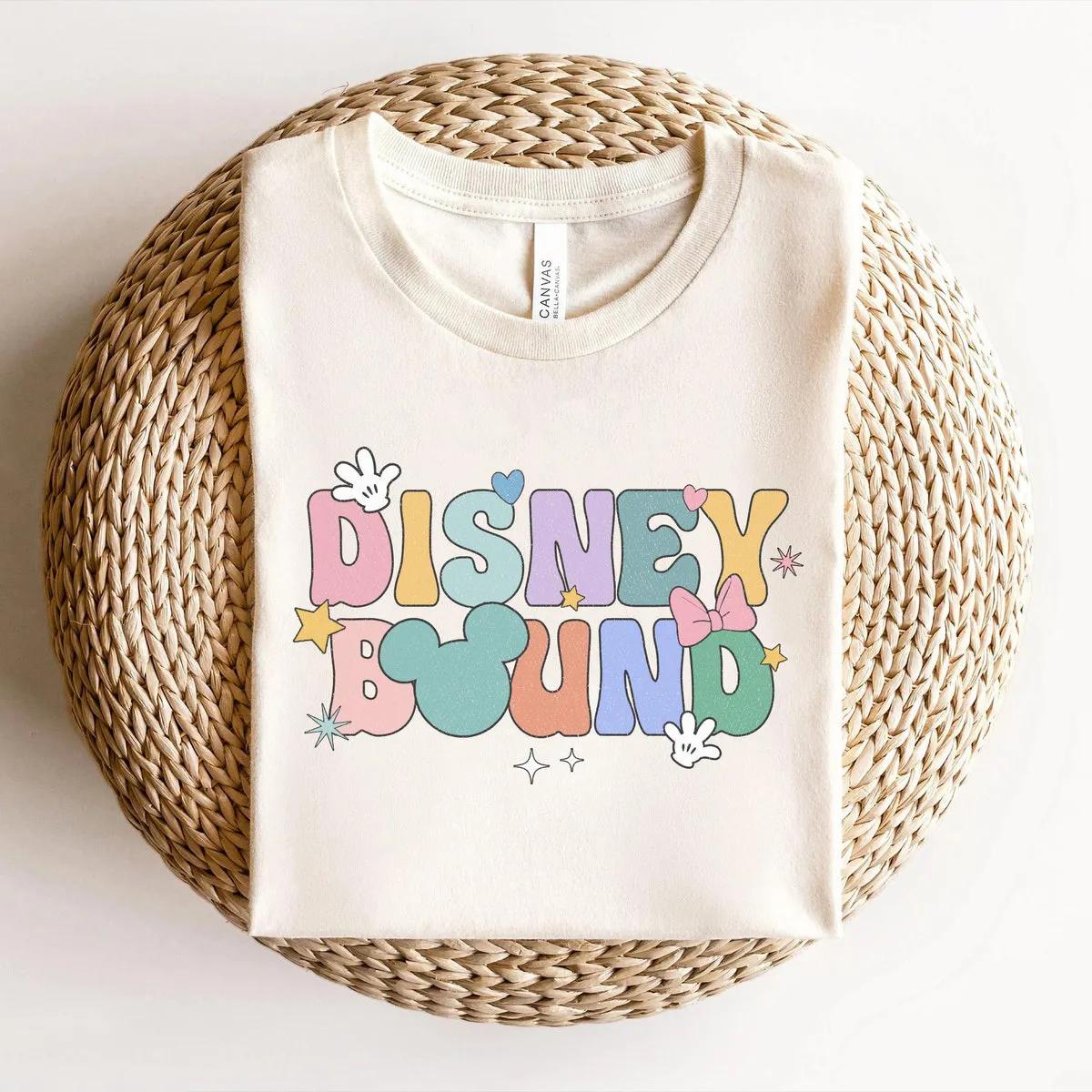 Disney Bound Matching Family Shirt 2 3