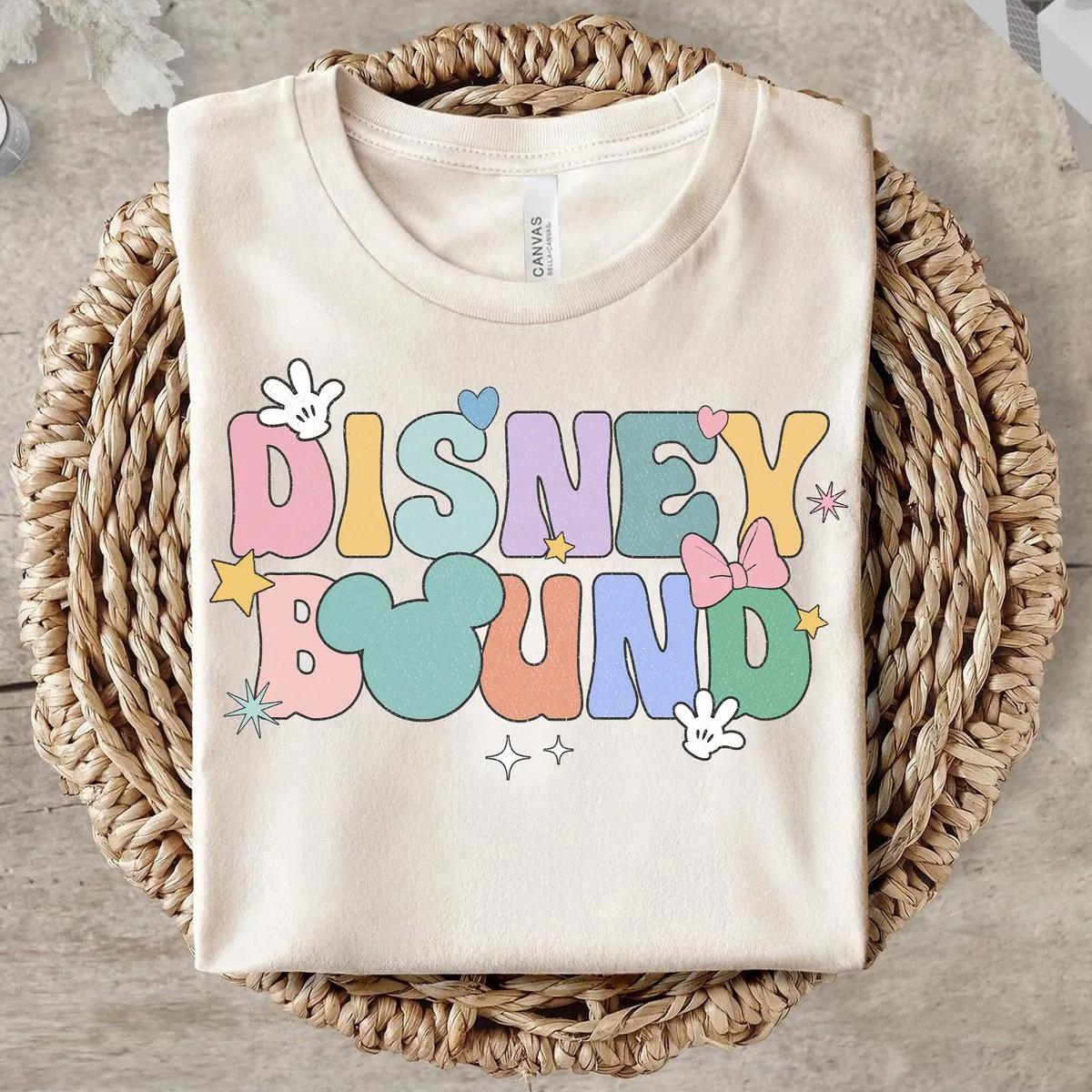 Disney Bound Matching Family Shirt 3 3