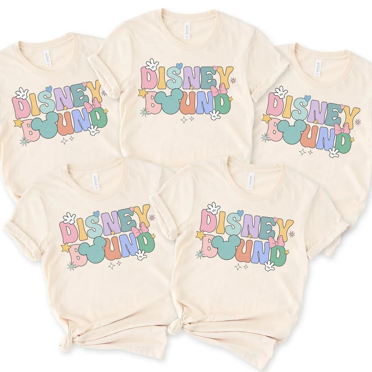 Disney Bound Matching Family Shirt 4 3