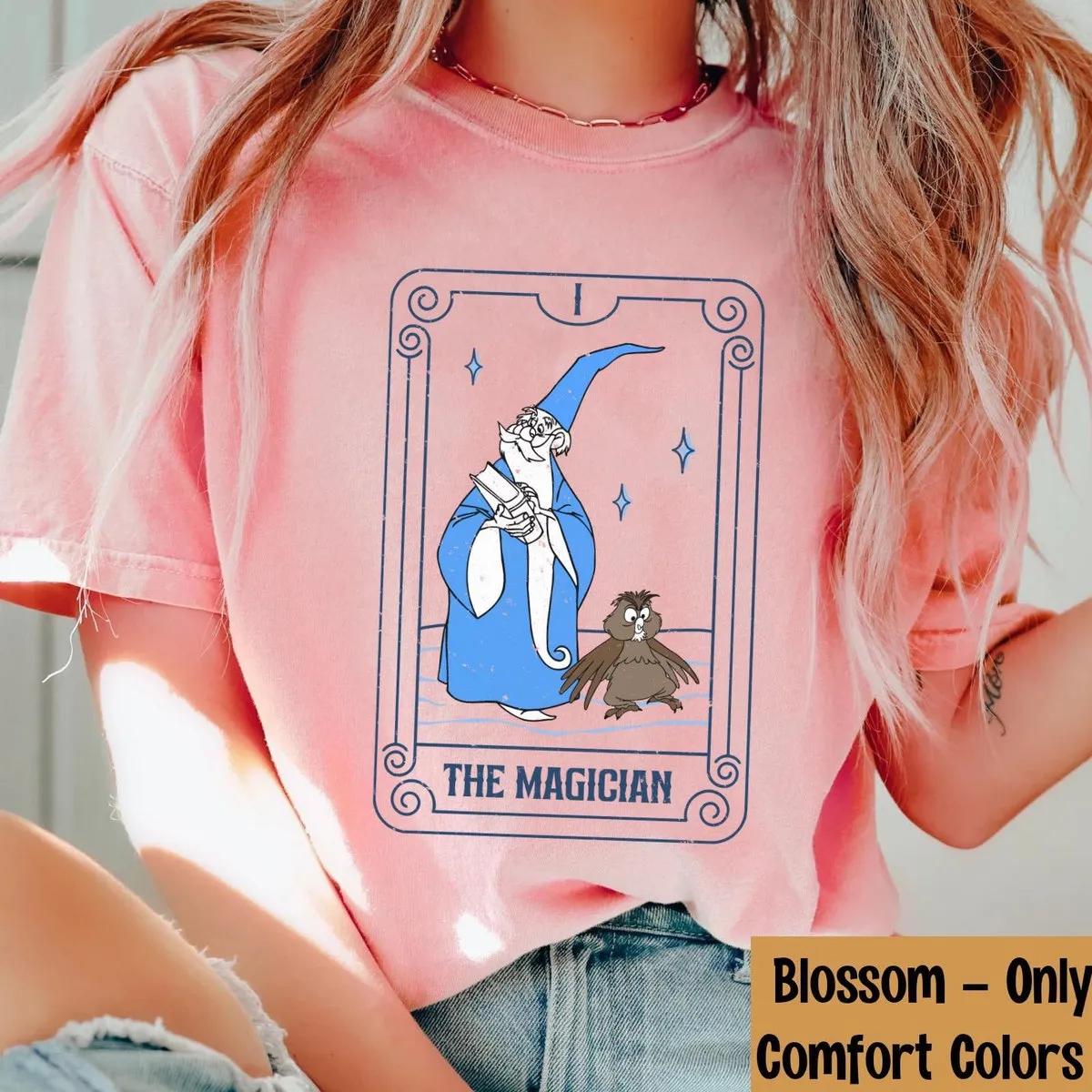 Merlin And Archimedes The Magician Tarot Card Shirt 3