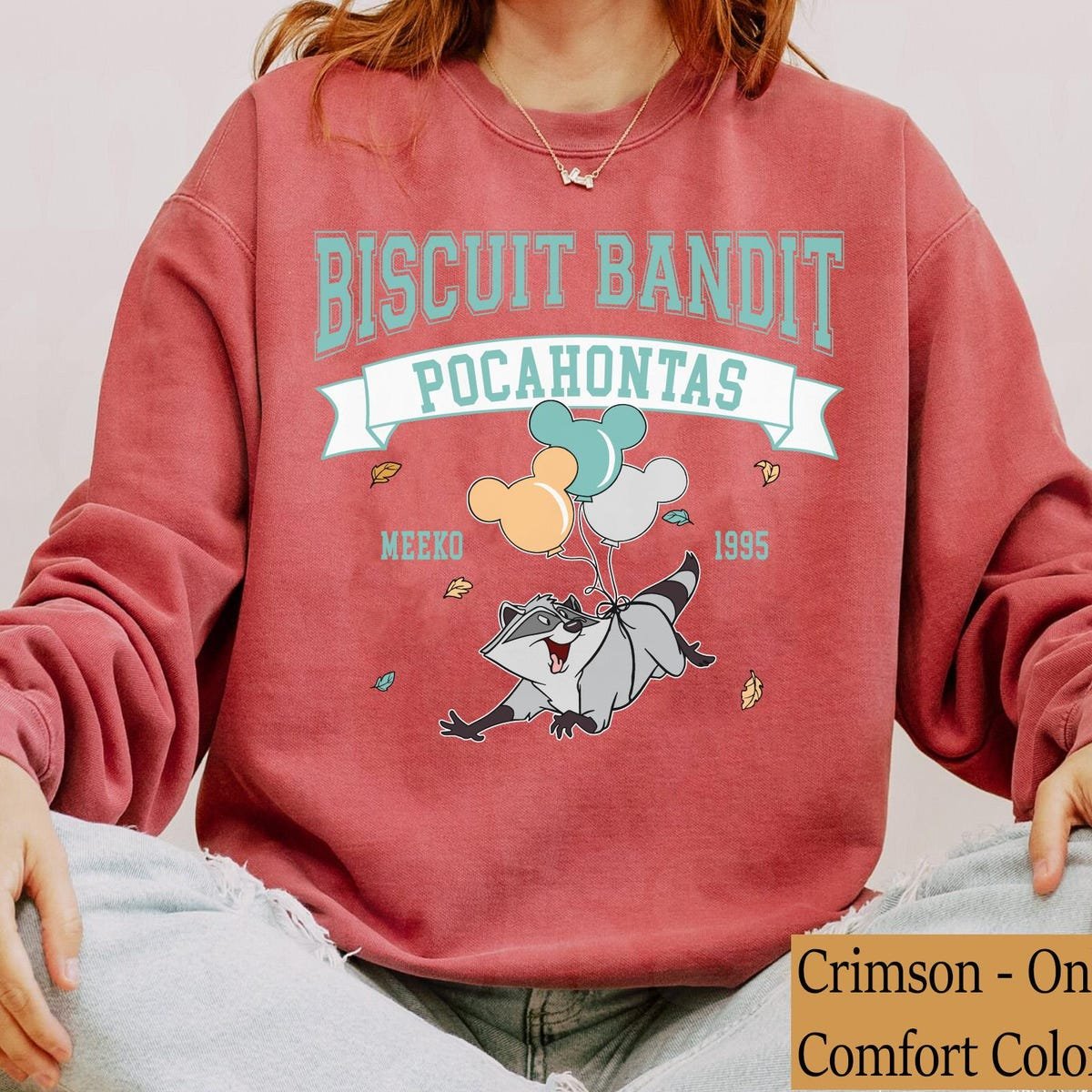 Disney Pocahontas Meeko Raccoon T-shirt Retro 1995 Gift for Fans